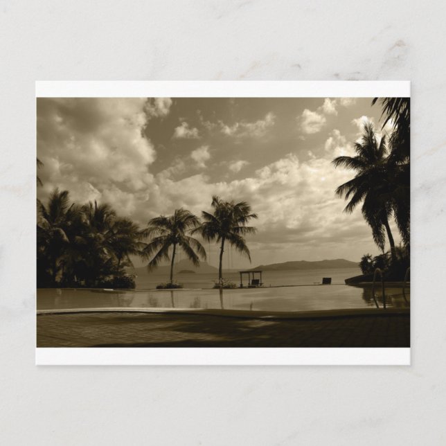 Palms Postcard (Front)