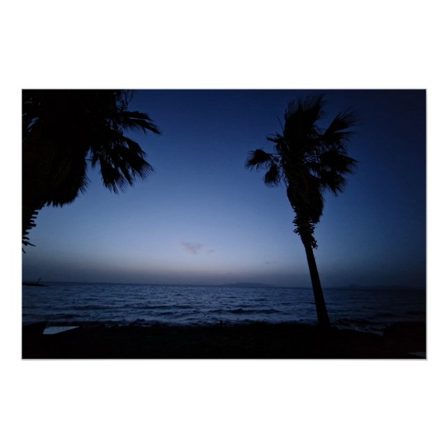 Palmtree night  poster (Front)