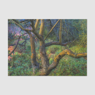 Palo Verde Tree Tissue Paper