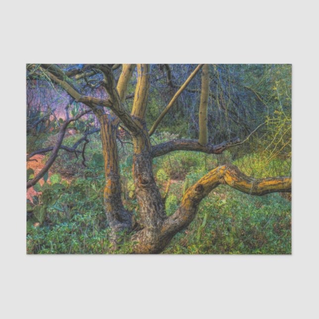 Palo Verde Tree Tissue Paper (Front)