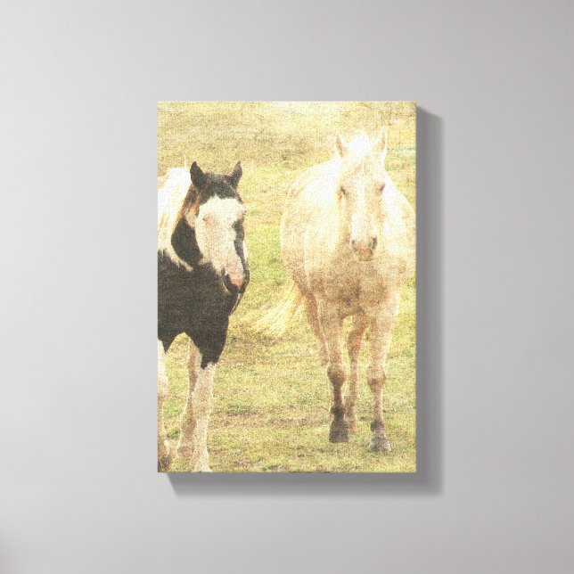 Palomino and Pinto Canvas Print (Front)