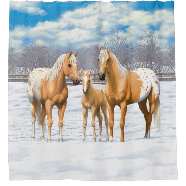 Palomino Appaloosa Horses In Winter Pasture (Front)