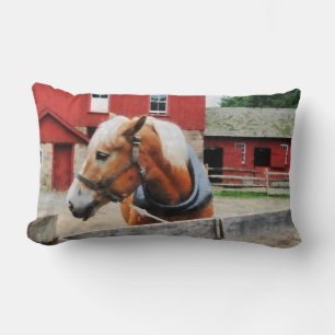 Palomino By Red Barn Lumbar Pillow