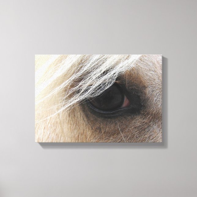 Palomino Canvas Print (Front)