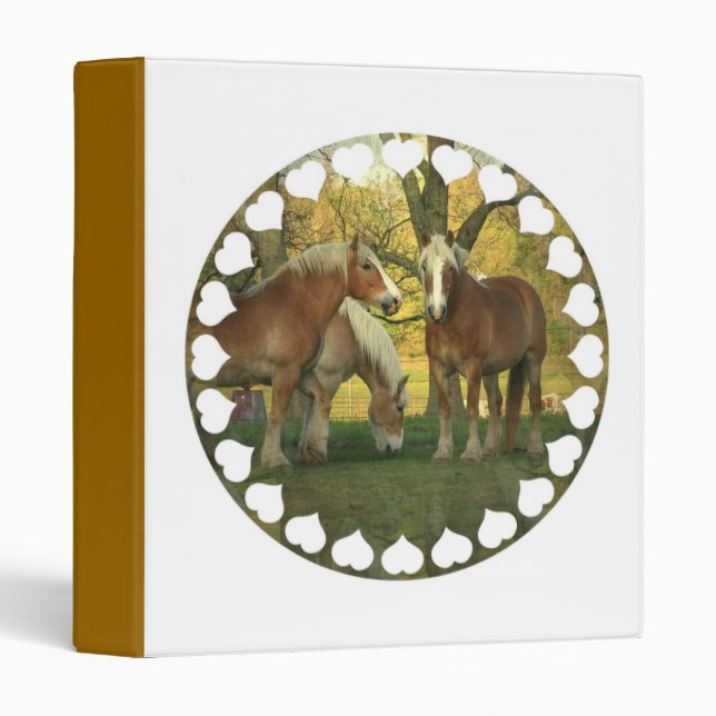 Palomino Draught   Horse Binder (Front/Spine)