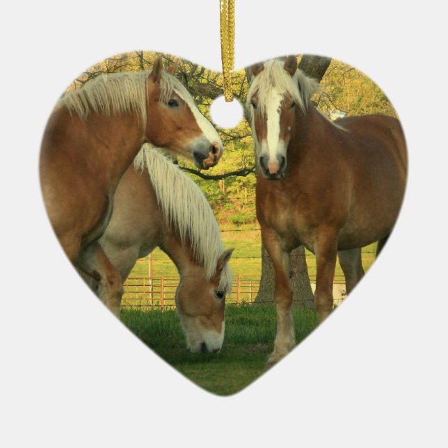 Palomino Draught   Horse Ornament (Front)