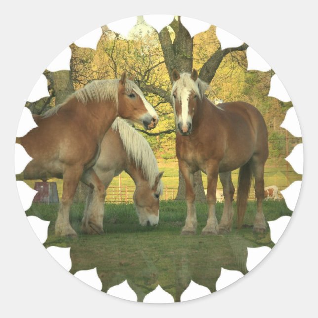 Palomino Draught Horses Stickers (Front)