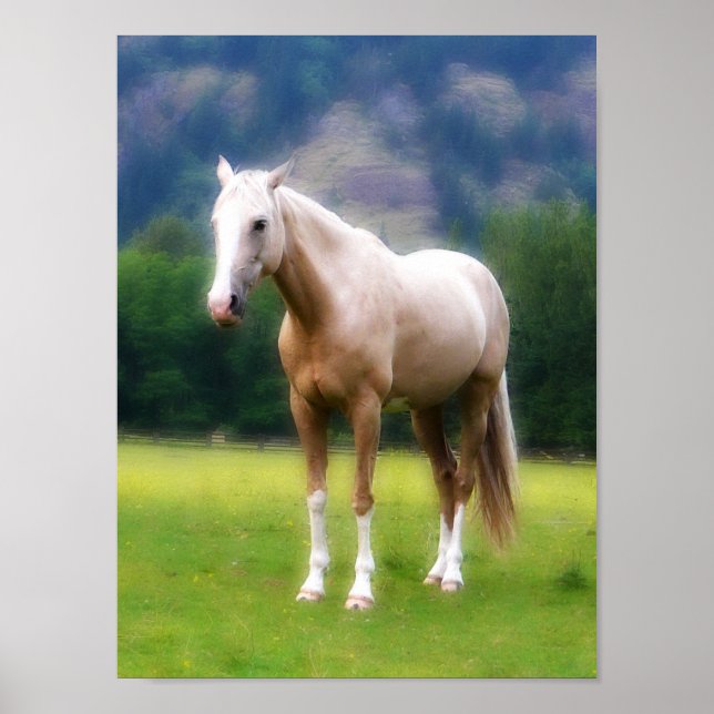 Palomino Dream Horse Poster (Front)