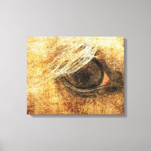 Palomino Eye Grunge Canvas Print (Front)