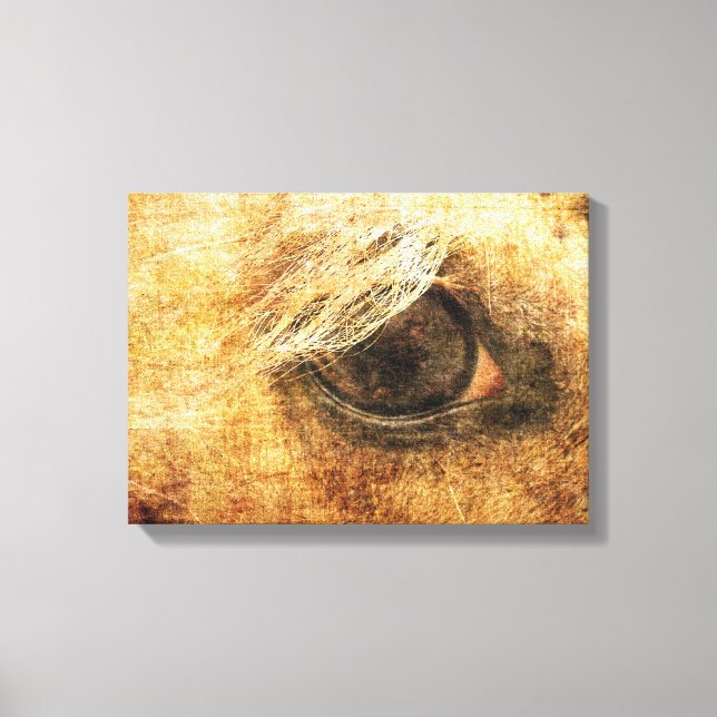 Palomino Eye Grunge Canvas Print (Front)