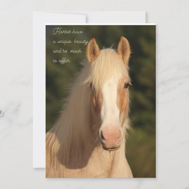 Palomino Gypsy Vanner Horse greeting card (Front)