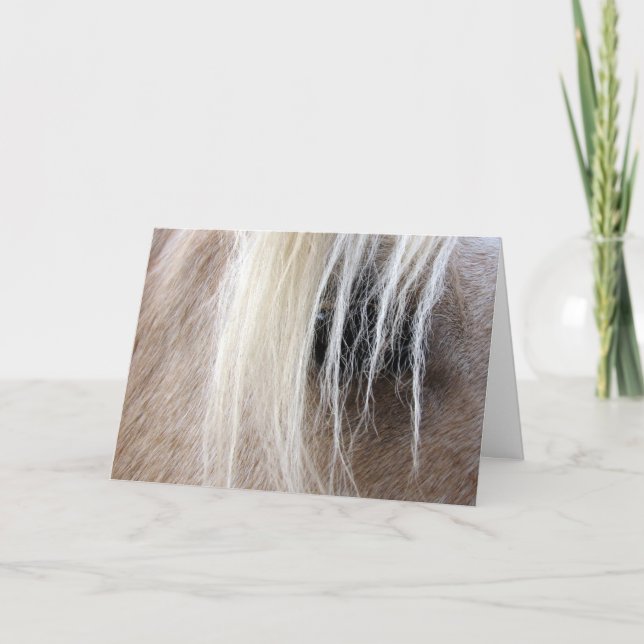 Palomino Horse Card (Front)