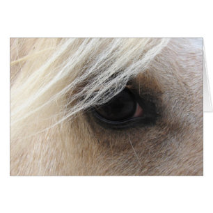 Palomino Horse Eye
