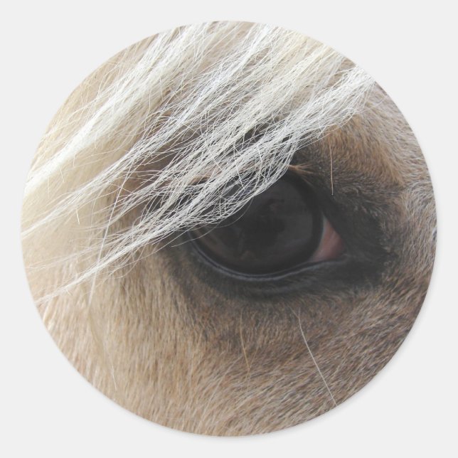 Palomino Horse Eye Classic Round Sticker (Front)