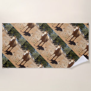 Palomino Horse Greeting, Beach Towel