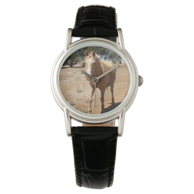 Palomino Horse Greeting,- Watch (Front)