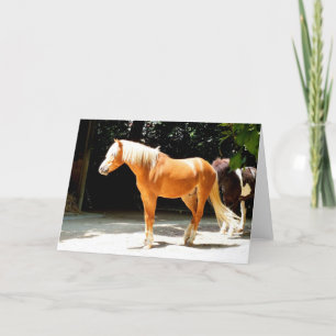 Palomino horse holiday card