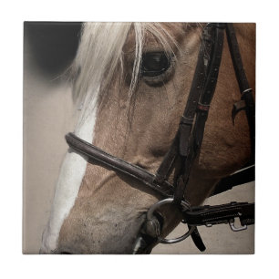 Palomino Horse in Bridle Tile