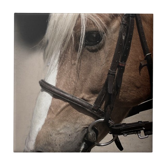 Palomino Horse in Bridle Tile (Front)