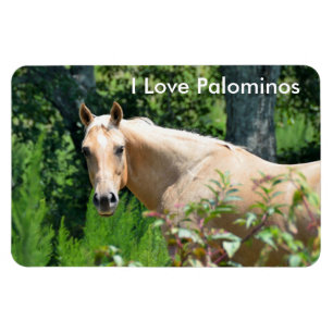 Palomino Horse Magnet flexible