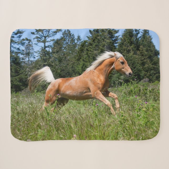 Palomino Horse Running through a Meadow Sherpa Blanket (Front (Horizontal))