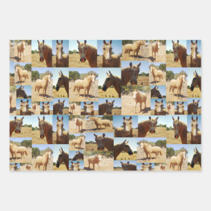 Palomino Horses Collarge, Gift Wrap Sheets,