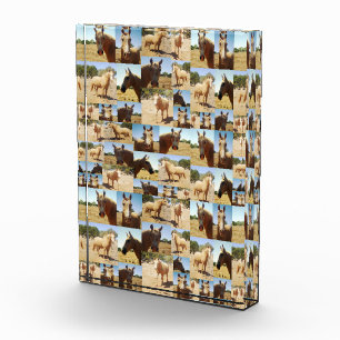 Palomino Horses Photo Collage, Block