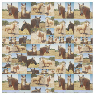 Palomino Horses Photo Collage, Fabric