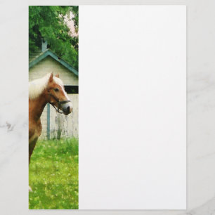 Palomino in Pasture