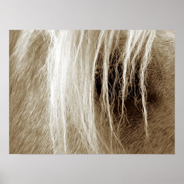 Palomino In Sepia Poster (Front)