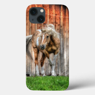 Palomino Paint Stallion and Barn for Horse-lovers iPhone 13 Case