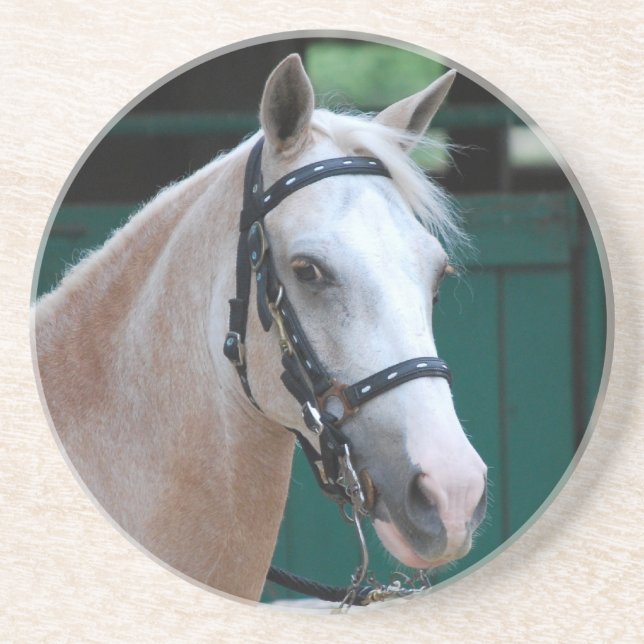 Palomino Paso Fino  Coaster (Front)