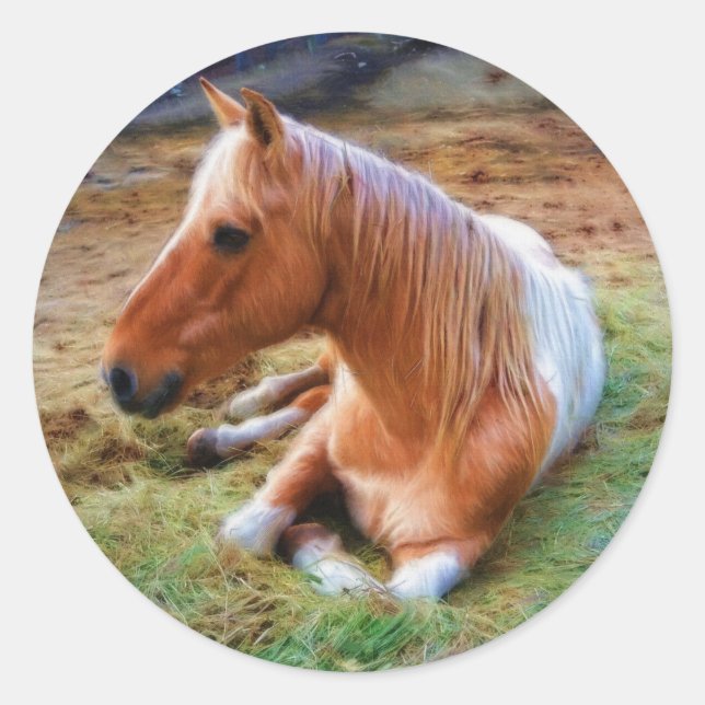 Palomino Pinto Horse Resting Artwork Classic Round Sticker (Front)