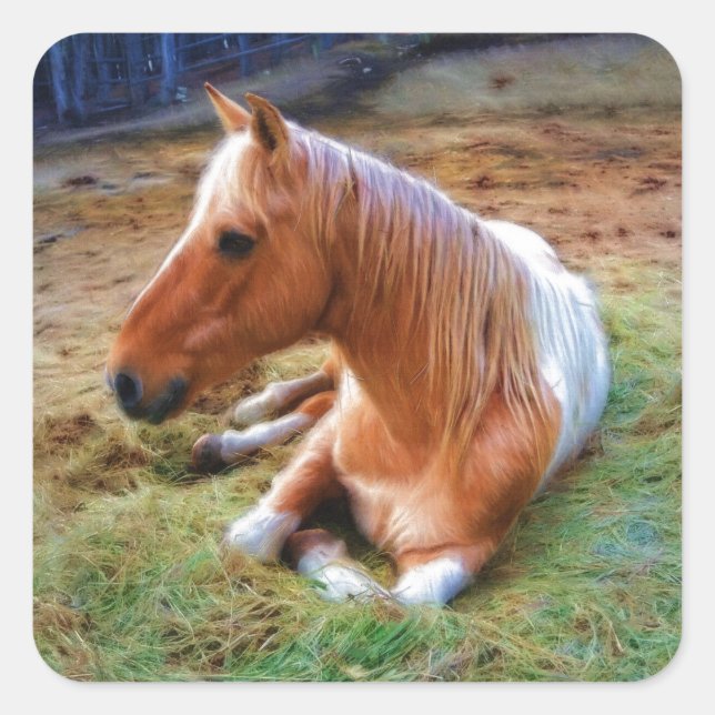 Palomino Pinto Horse Resting Artwork Square Sticker (Front)