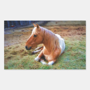Palomino Pinto Horse Resting Artwork Sticker