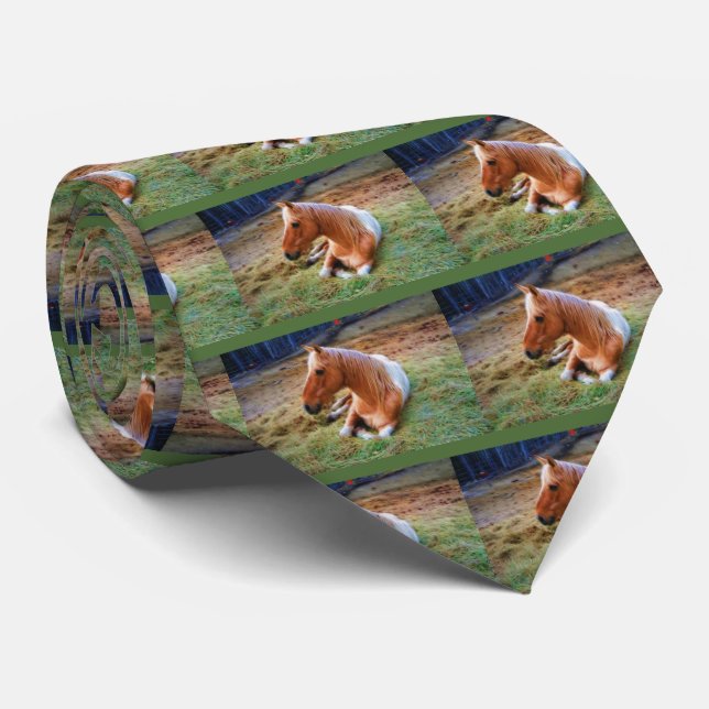 Palomino Pinto Horse Resting Artwork Tie (Rolled)