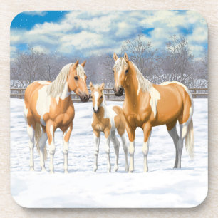 Palomino Pinto Paint Quarter Horses In Snow Coaster