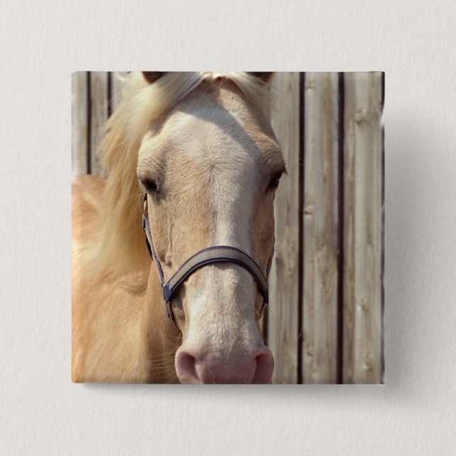 Palomino Pony Square Pin (Front)