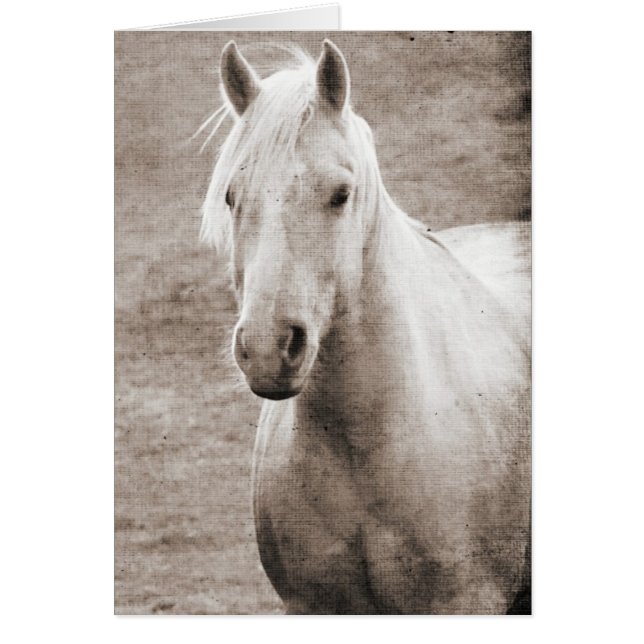 Palomino Sepia Toutes les occasions (Devant)