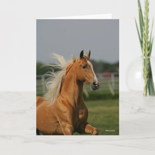 Palomino Tennesee Walking Horse Stallion Card (Front)