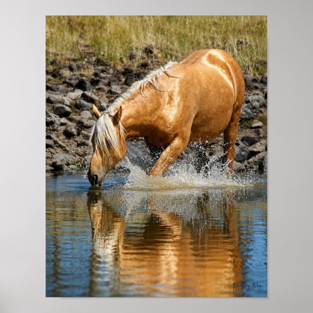 Palomino Waters  Poster (Front)