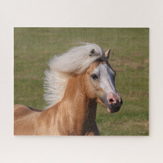 Palomino Welsh Pony Headhot Mane Flowing Jigsaw Puzzle (Horizontal)