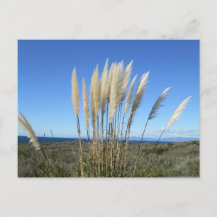 PALOS VERDES. CARTE POSTALE CA #9