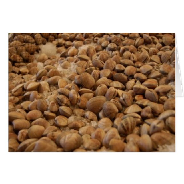 palourdes (Devant horizontal)