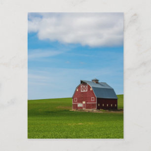 Palouse Country Barn - Eastern Washington Postcard