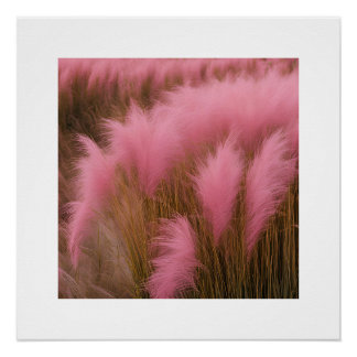 Pam-pass rose Poster esthétique Photographie Fille