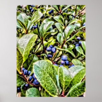 Pamela Storch - Blueberry Bush Serenade Poster