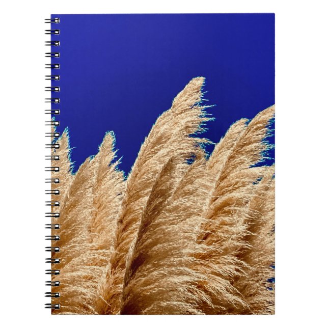 Pampas and Sky Notebook  (Front)