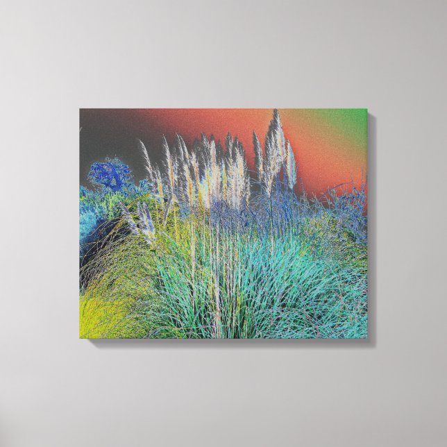 Pampas Grass Solarized - Digital Manipulation Canvas Print (Front)