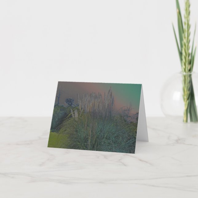 Pampas Grass Solarized Note Card (Front)